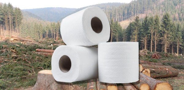 Bild som tydliggör kopplingen mellan toalettpapper och avverkning
