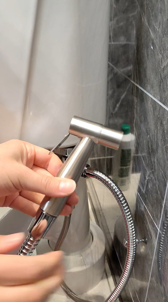 Ladda video: Installationsvideo för renarumpors bidédusch